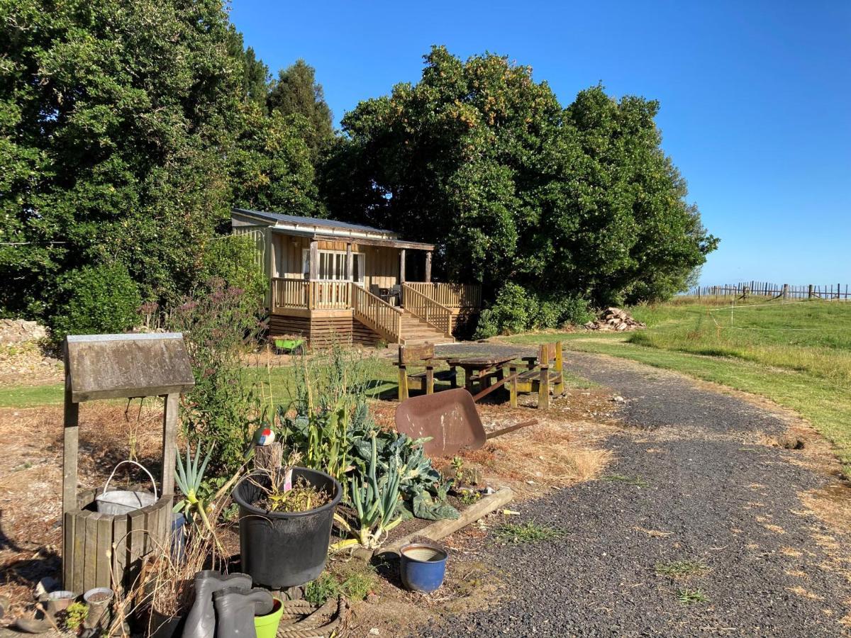 הוילה Ohauiti The Treehut מראה חיצוני תמונה